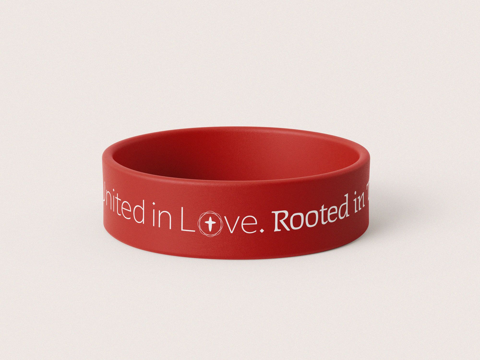 RVF project image 10